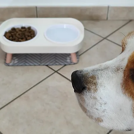 公寓 Degli Angioini *