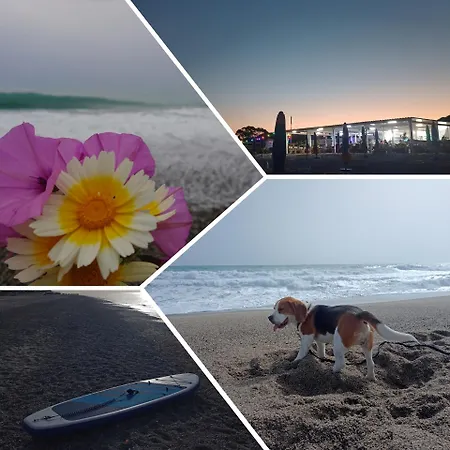 Degli Angioini Appartement Marina di Caulonia