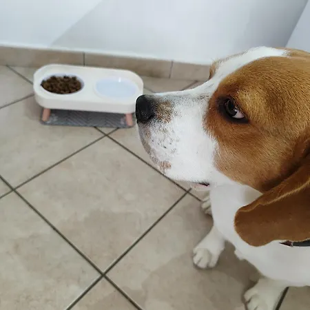 Appartement Degli Angioini Marina di Caulonia