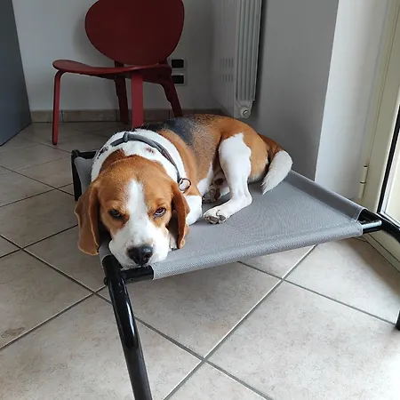 Degli Angioini Marina di Caulonia