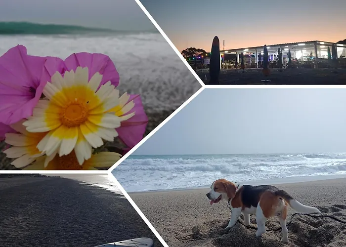 Degli Angioini Apartamento Caulonia Marina