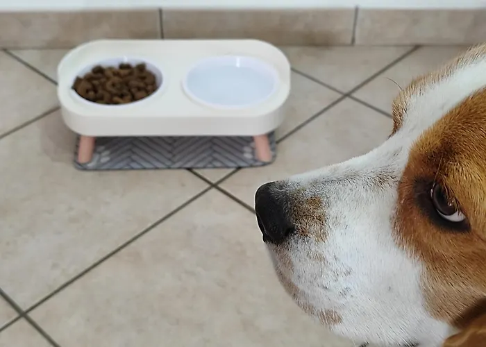 Apartamento Degli Angioini *